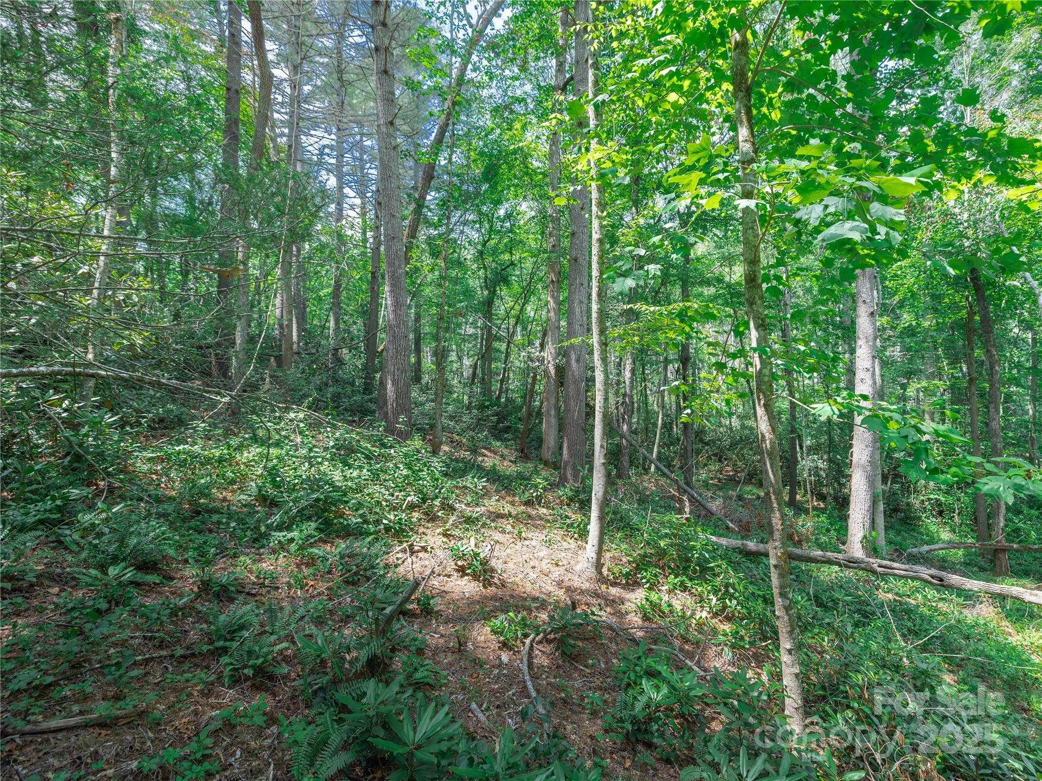 Sovereign Oaks - Land