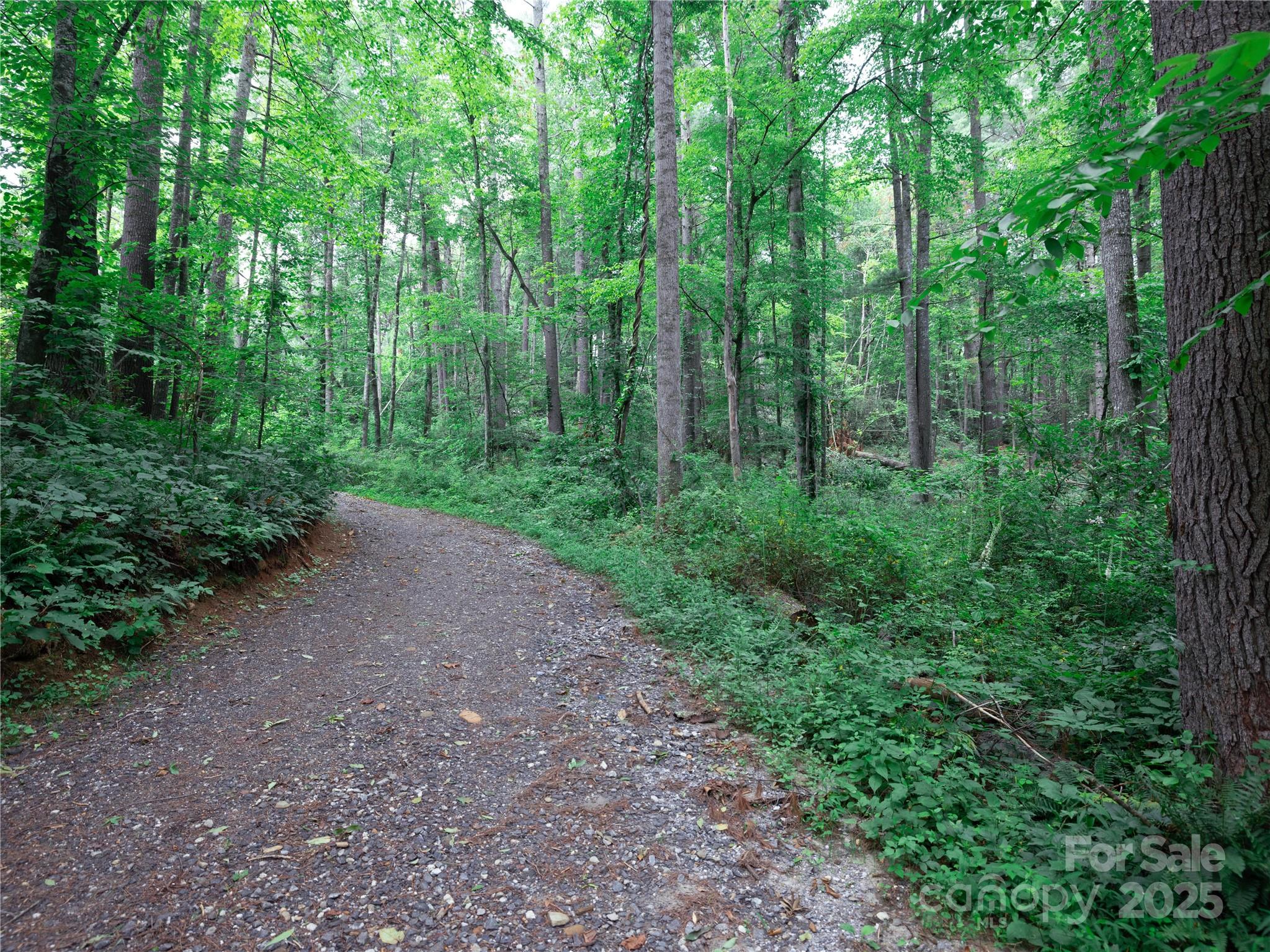 Sovereign Oaks - Land