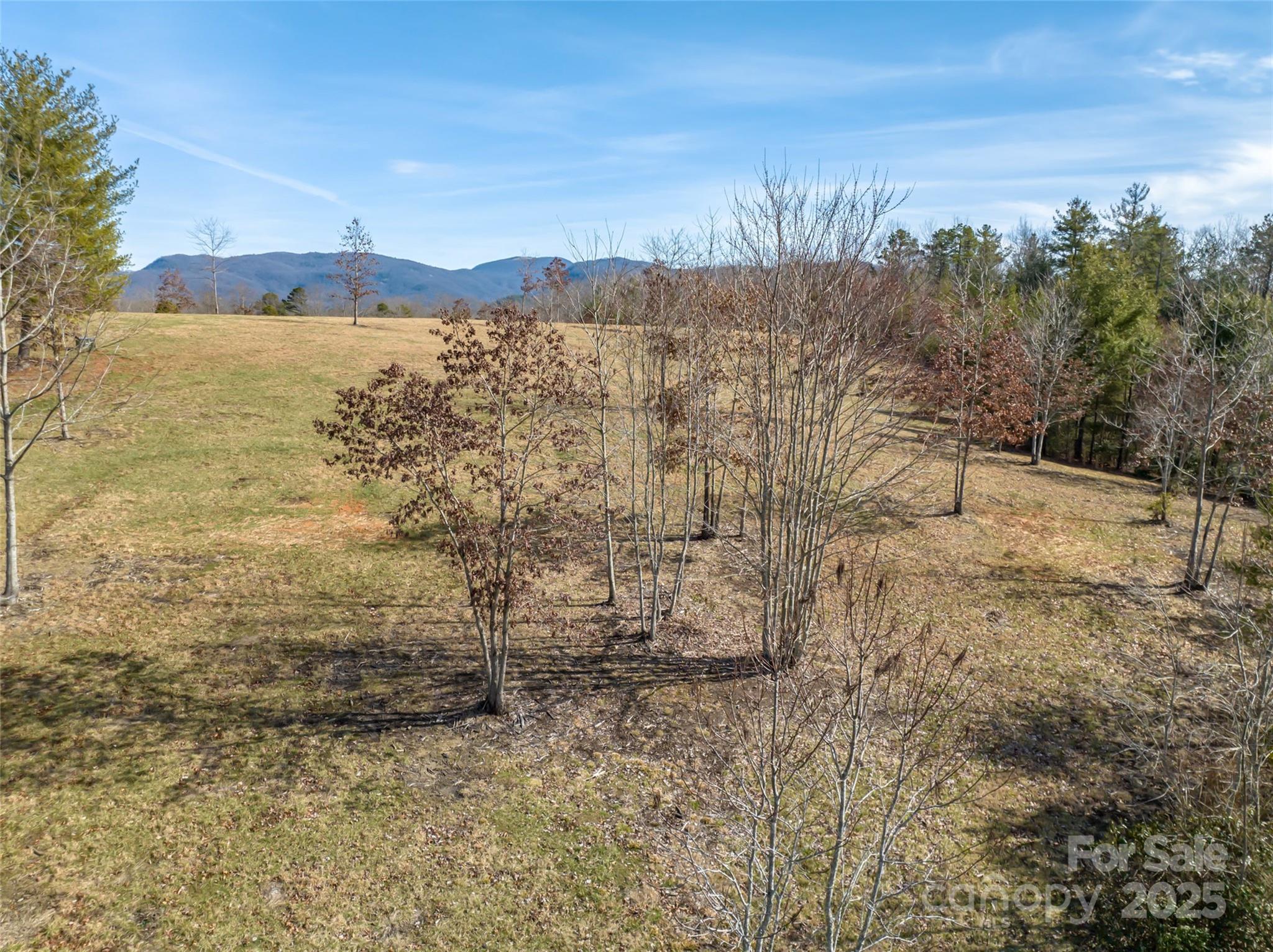 437 Pisgah Vista Road Lot 37