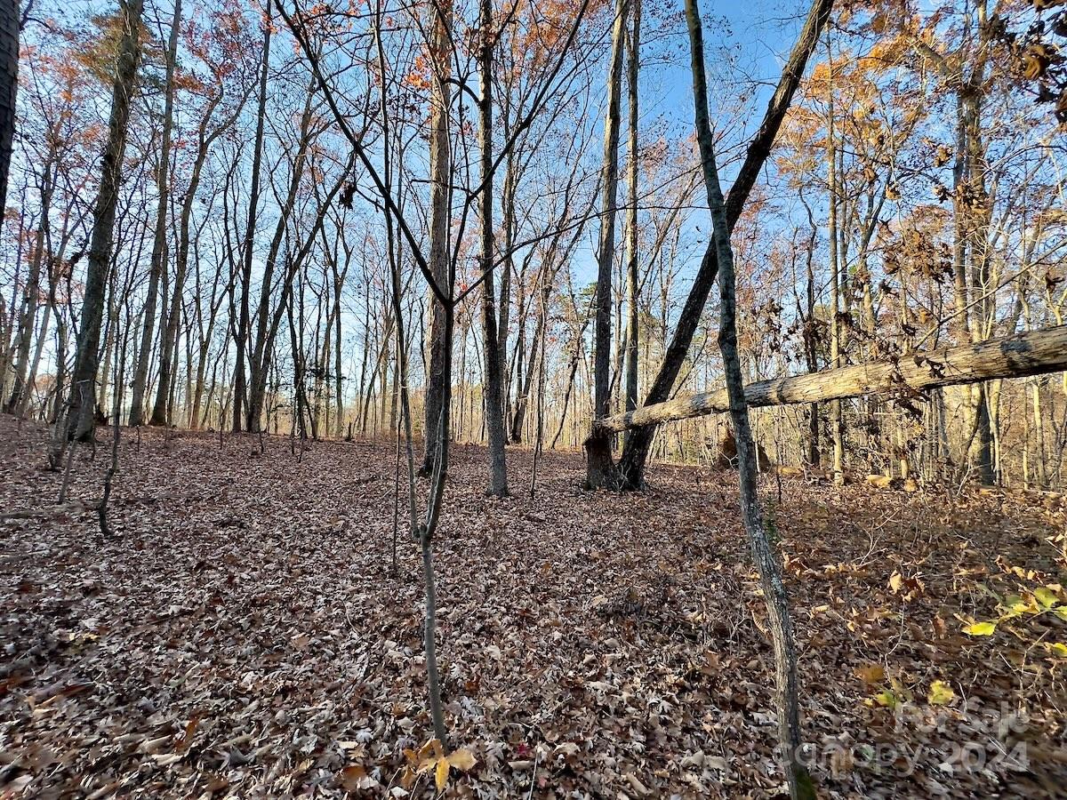 Carolina Forest - Land