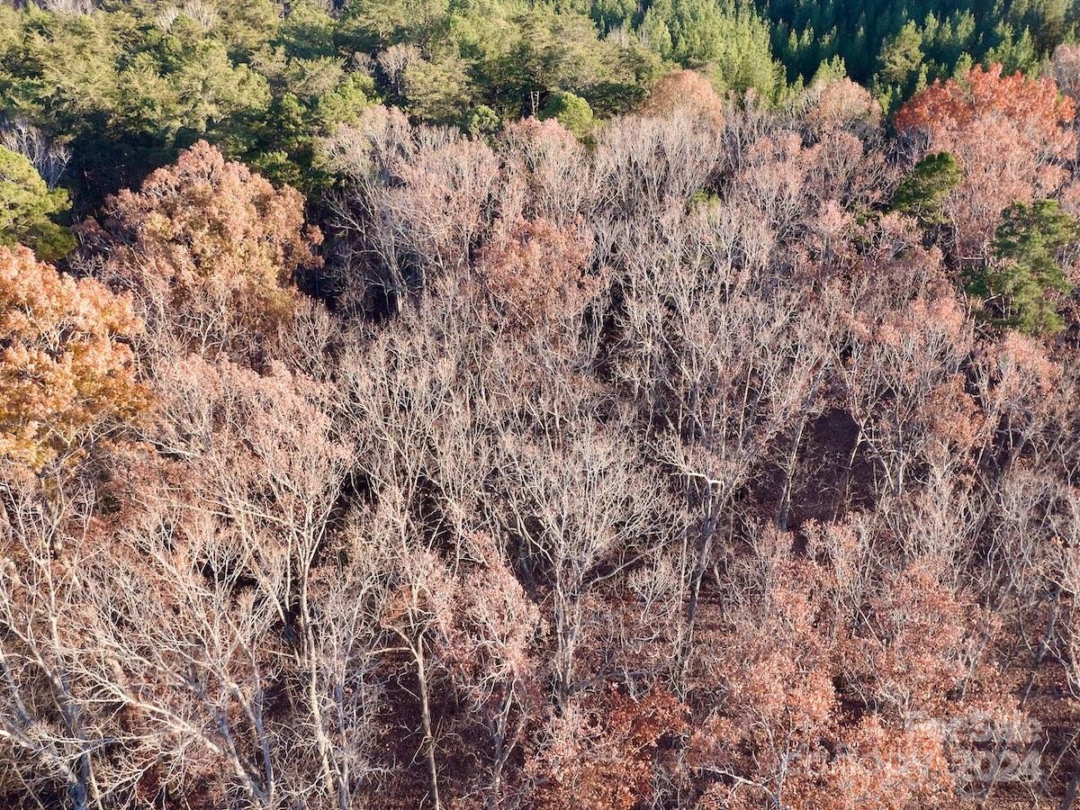 Carolina Forest - Land