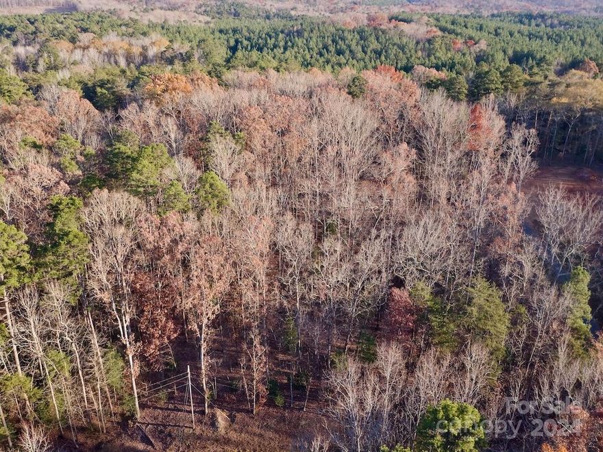 Looking for that special spot near the Uwharrie Mountains and National Forest, the Pee Dee River and Lake Tillery to build your permanent or vacation home?  This wooded lot on Suwanee Road in the gated Carolina Forest community is the perfect place to make your dream come true.  As you drive through the gated entrance, the road begins to wind through a wonderland of mature hardwoods as it branches off into the internal streets throughout the community.  The scenic and peaceful drive welcomes you home as you drive up to this cozy, wooded lot. The Uwharrie Mountains and the Uwharrie National Forest are a short drive away.  The Pee Dee River and Lake Tillery offer wonderful water recreation opportunities and a boat landing is a short 10 minute drive.  If golf is your game, the Tillery Tradition Country Club is also a short drive away.  Carolina Forest also has a clubhouse, pool, individual boat slips, boat storage and campground areas, subject to availability and reservation in advance.