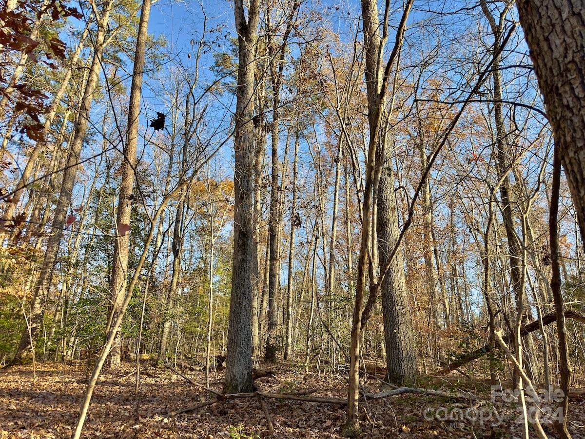 Carolina Forest - Land