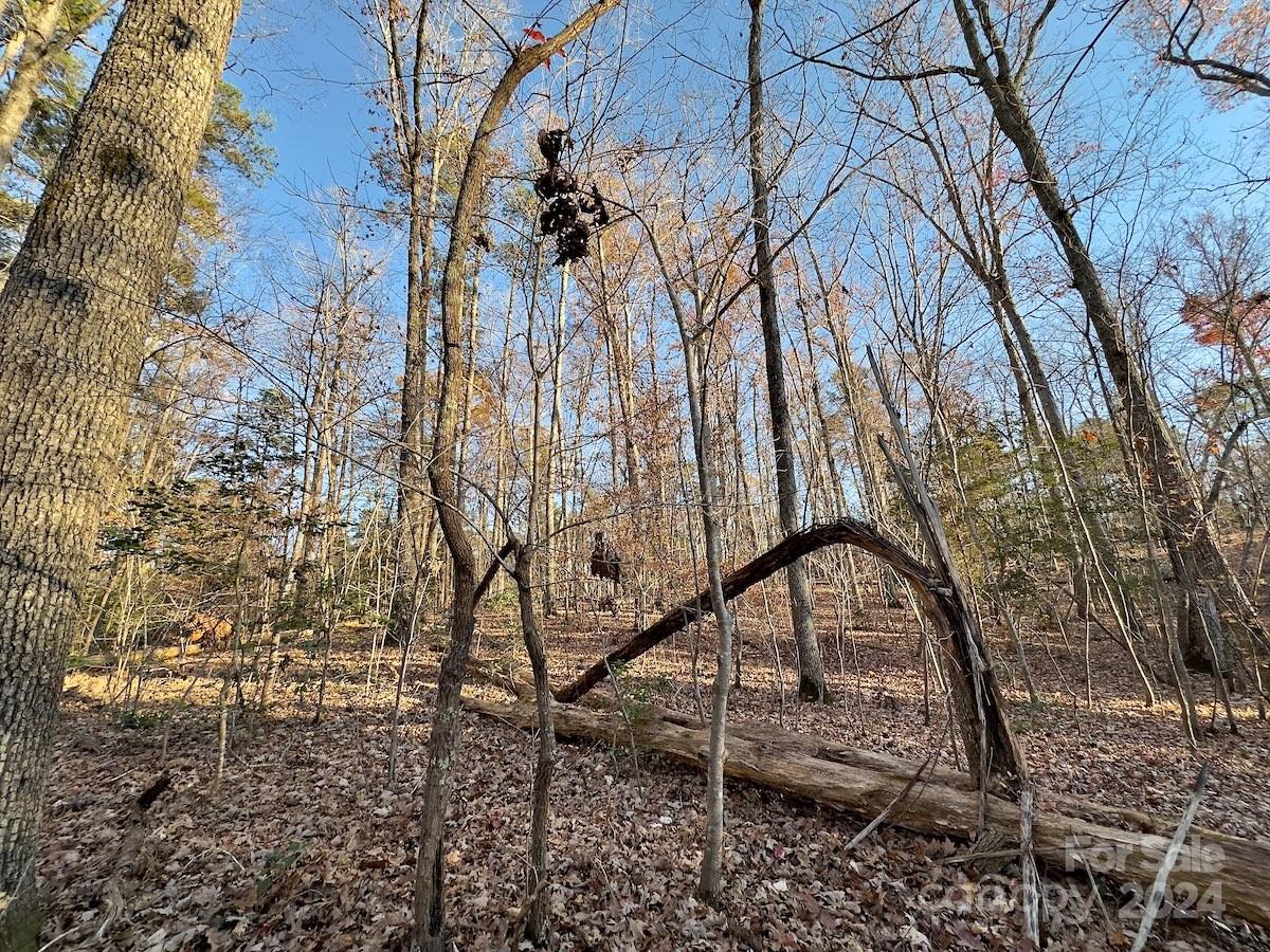 Carolina Forest - Land