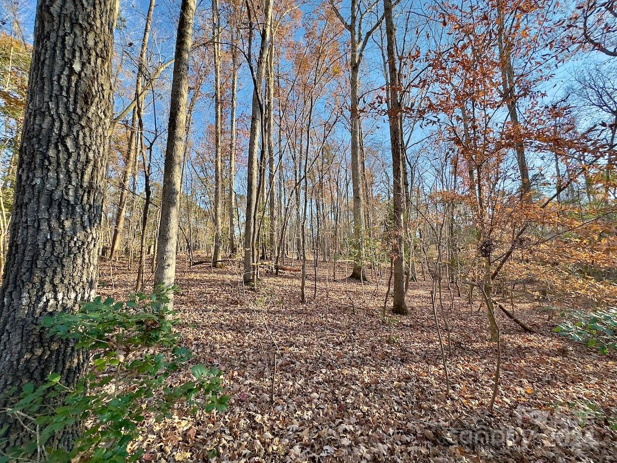 Carolina Forest - Land