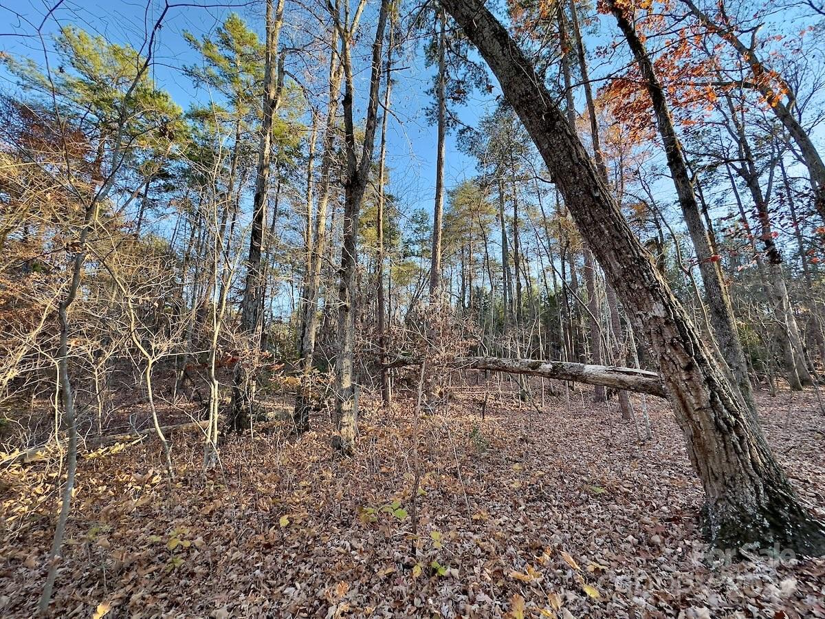 Carolina Forest - Land