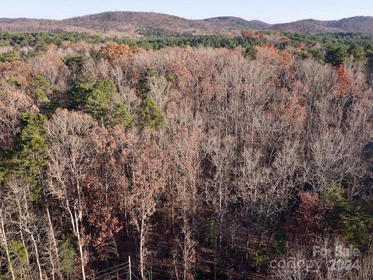 Carolina Forest - Land