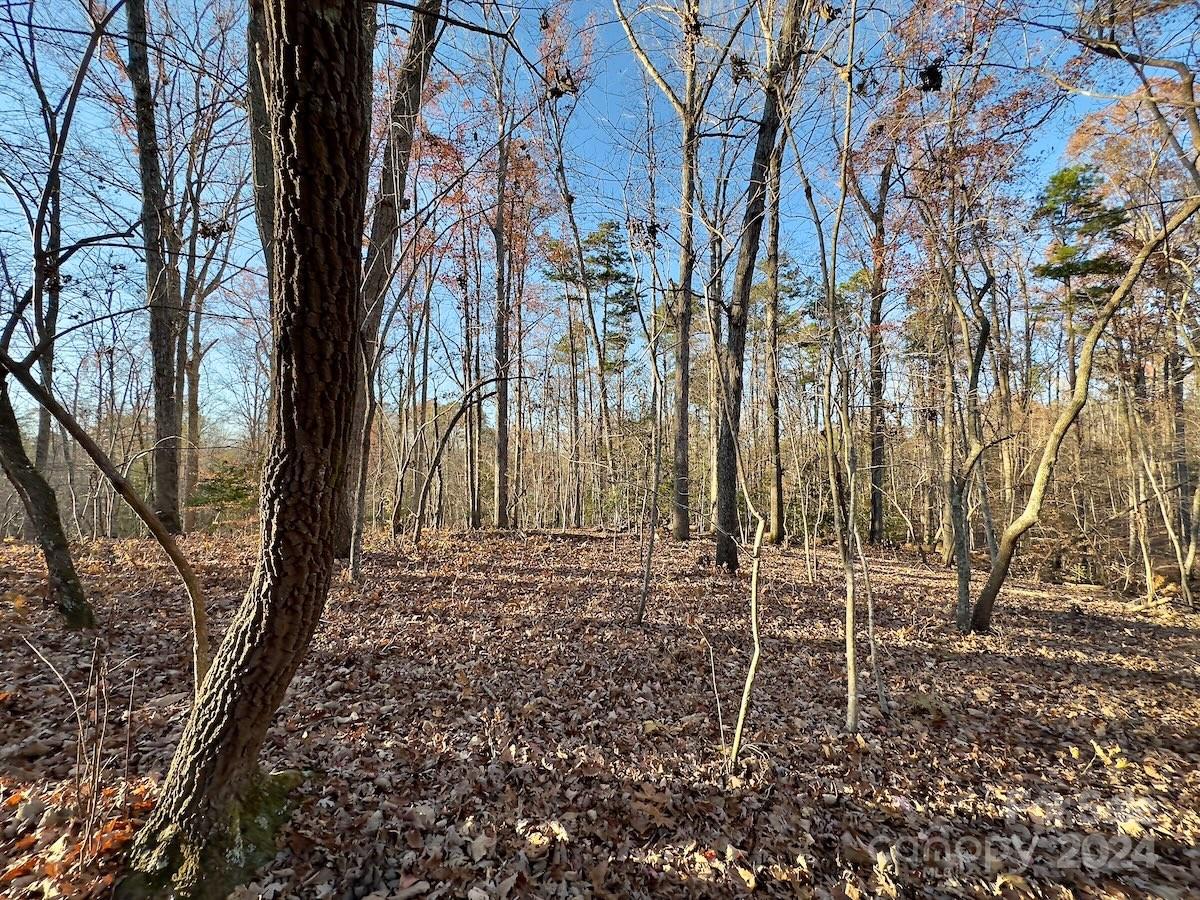 Carolina Forest - Land