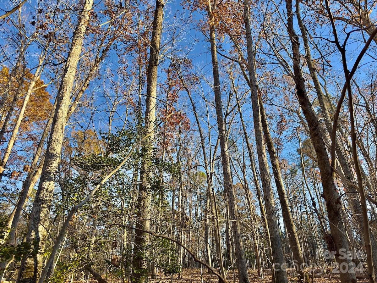 Carolina Forest - Land