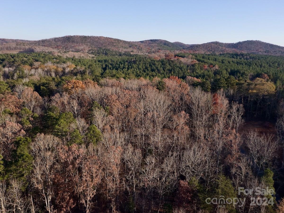 Carolina Forest - Land