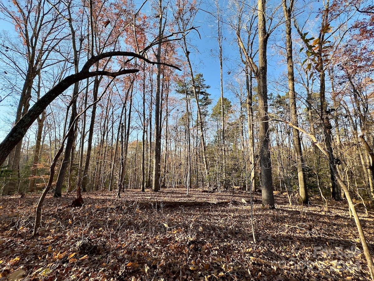 Carolina Forest - Land