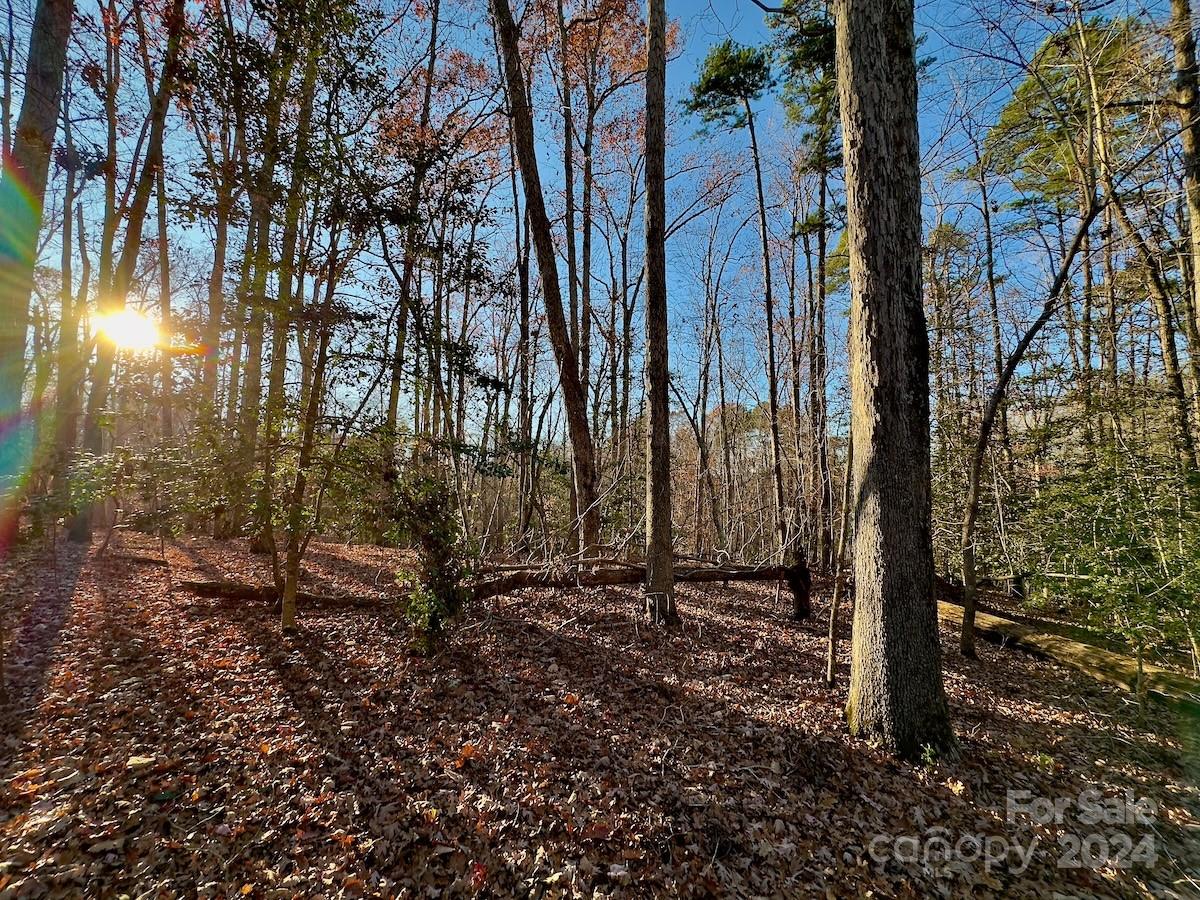 Carolina Forest - Land