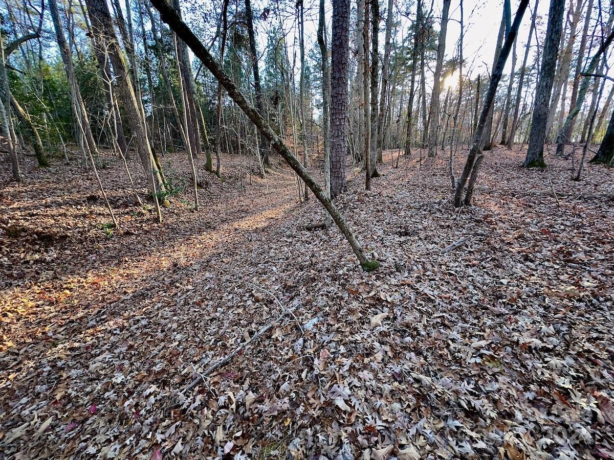 Carolina Forest - Land