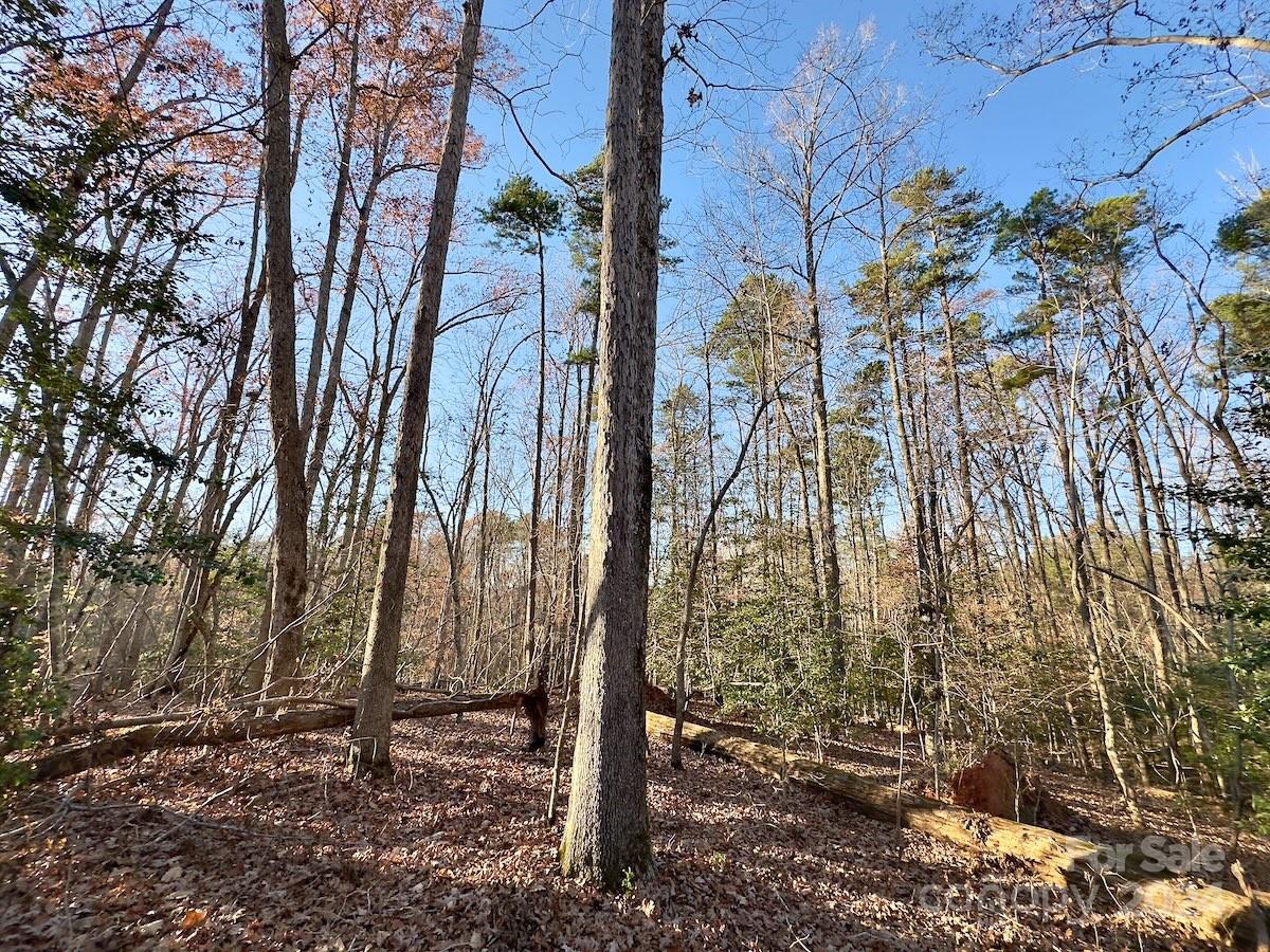 Carolina Forest - Land