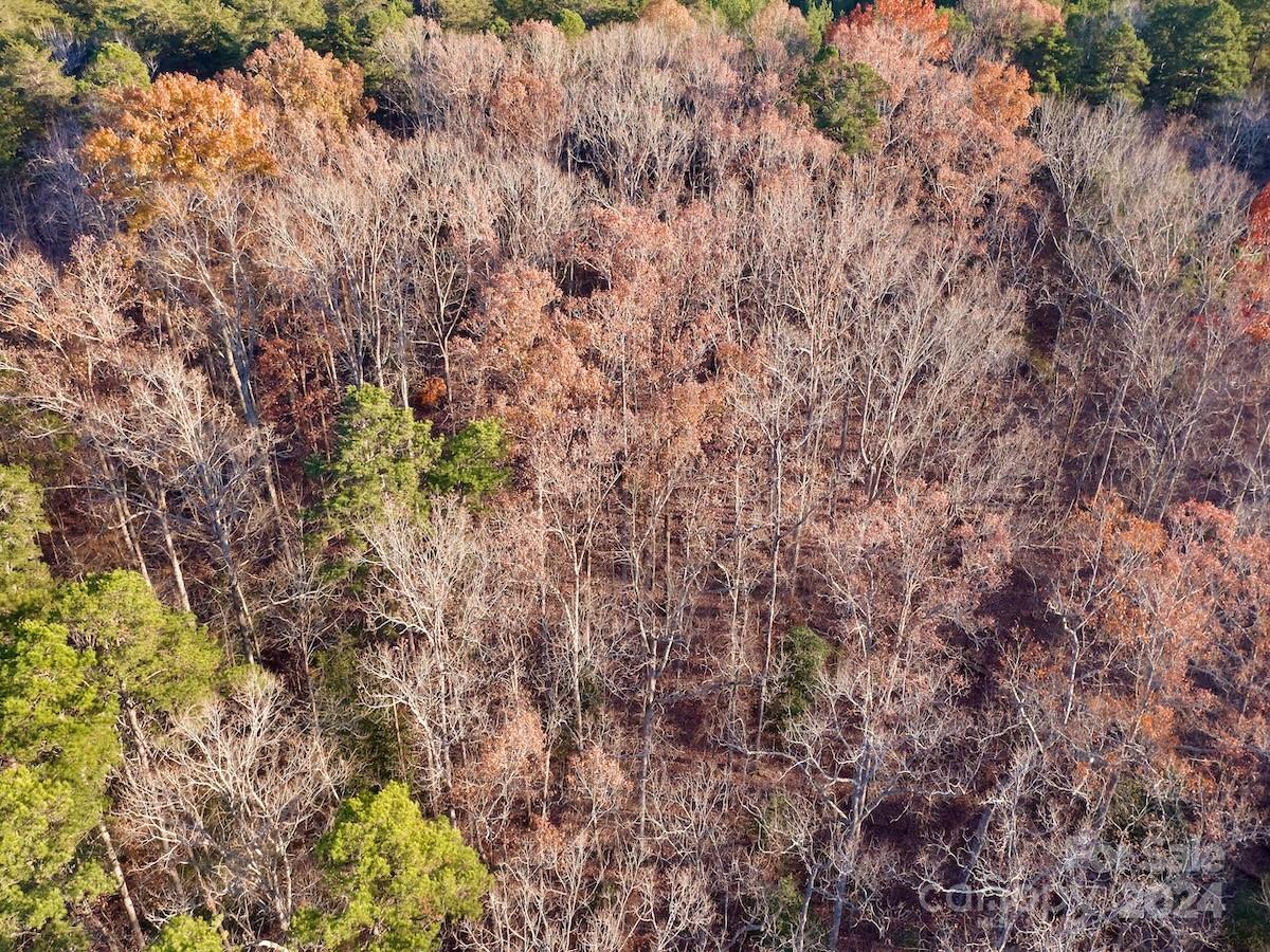 Carolina Forest - Land