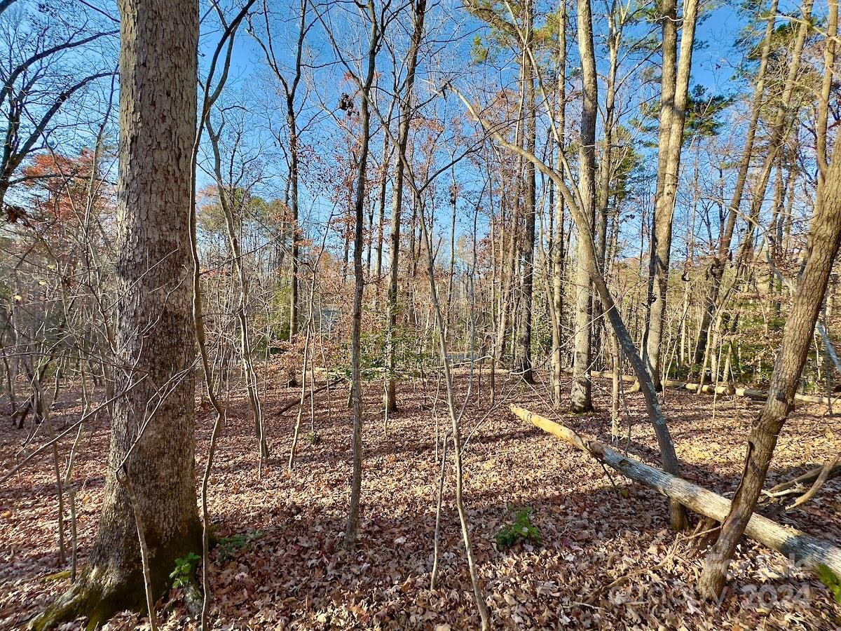 Carolina Forest - Land