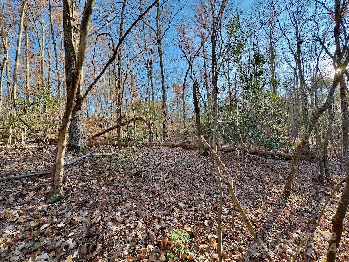 Carolina Forest - Land