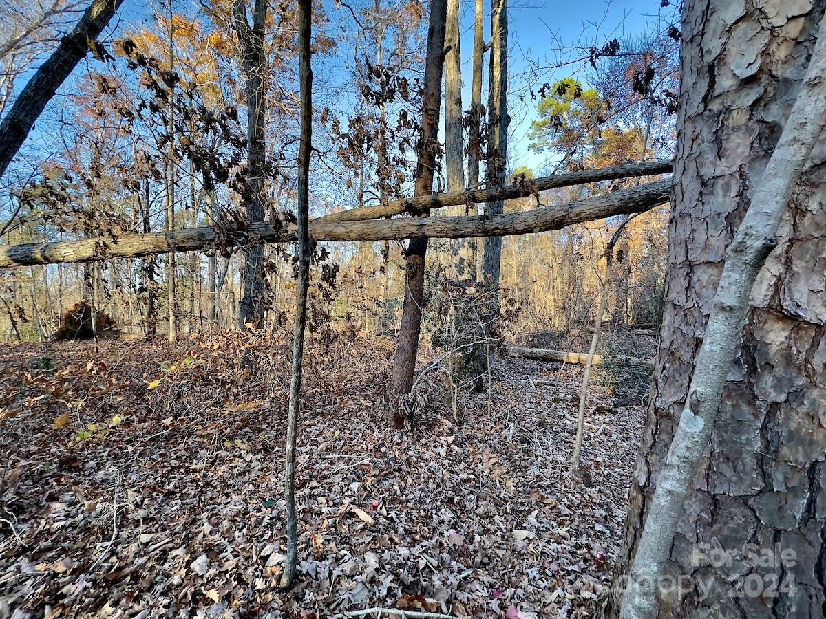 Carolina Forest - Land