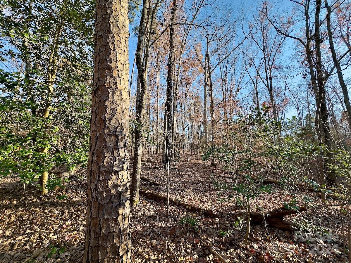 Carolina Forest - Land