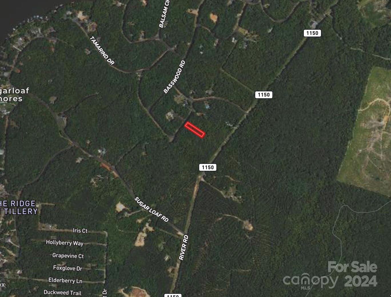 Carolina Forest - Land