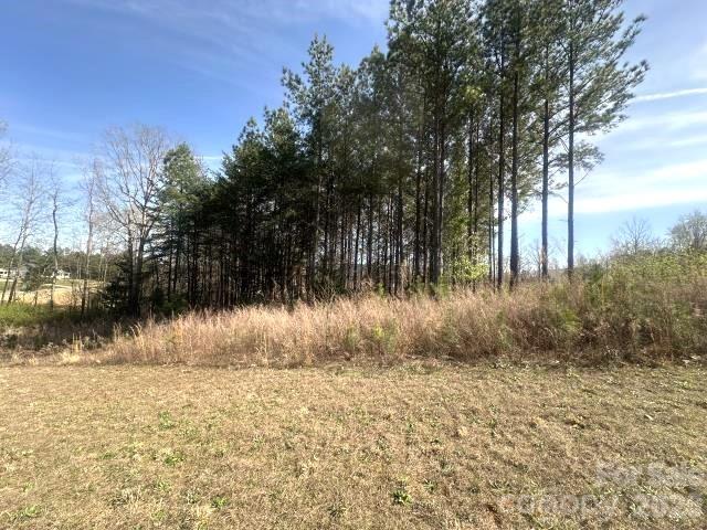 315 Grassy Ridge Court