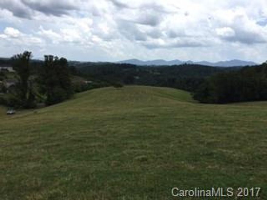 Pasture land with long range views ready for development or farmland.  Ample road frontage along Turkey Creek.  Rolling Pasture Land, some wooded areas, but many build-able sites.  Zoned Other Use.  Restrictions include no manufactured homes or on frame modulars.  Acreage is portion of larger tract.  Property has been surveyed. See attached survey.