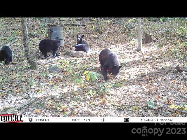 Gladyview Estates - Residential Income