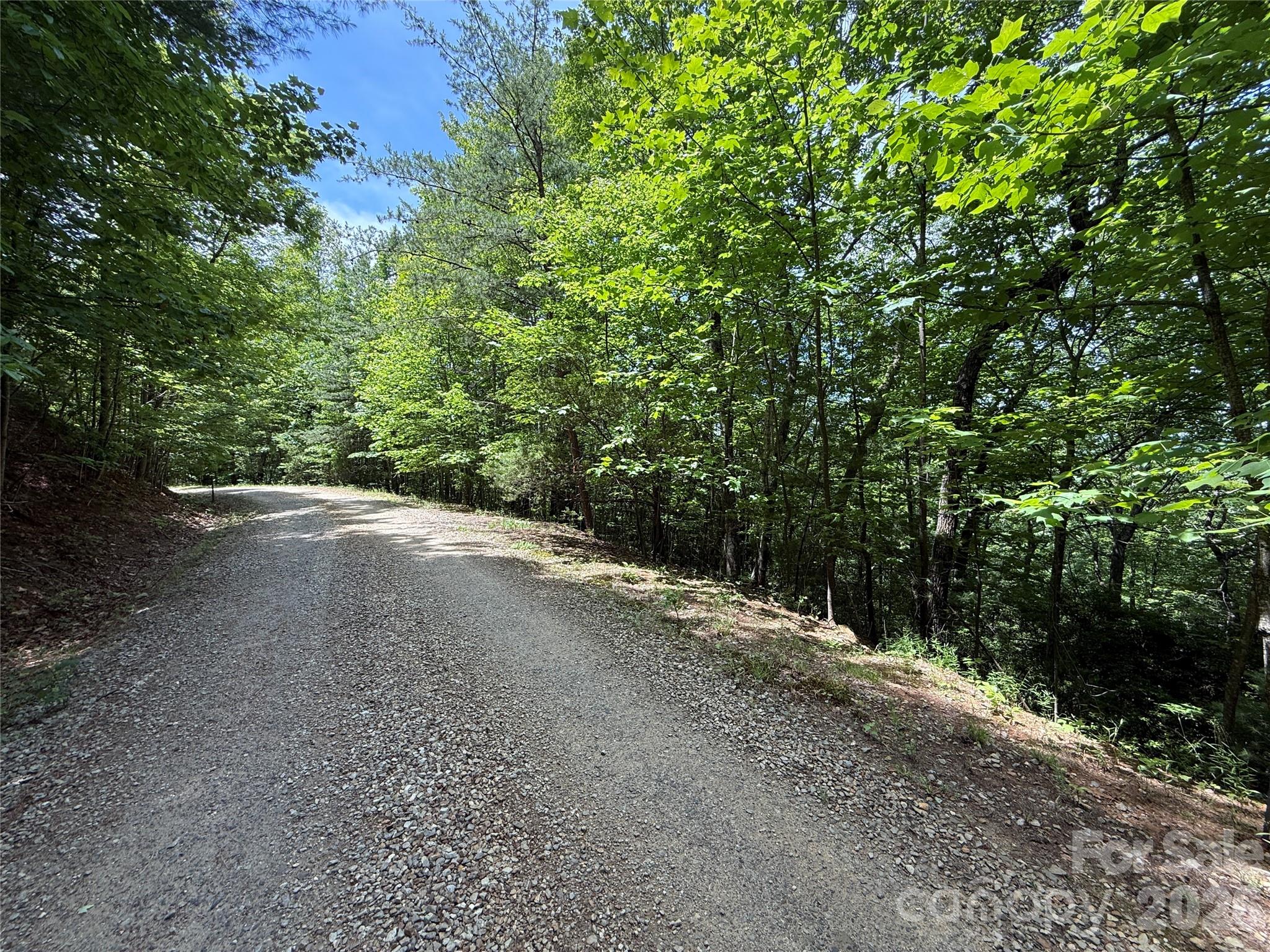 Buck Mountain - Land