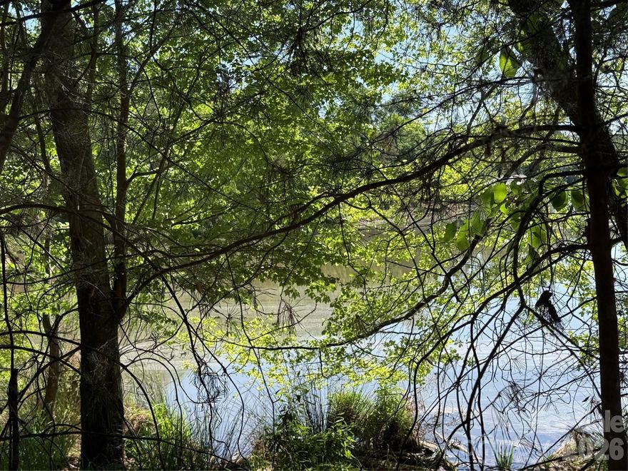 RARE opportunity to own a dockable waterfront homesite in the highly desirable Edgewater community on Fishing Creek Lake. This approximately 0.60-acre lot offers exceptional year-round water views and an ideal topography for a walk-out basement, leading to a level backyard just steps from your future private dock. Positioned in a quiet cul-de-sac, the setting provides both privacy and a strong connection to the surrounding natural landscape.

This 45 ft by 200 ft waterfront homesite provides ample space for a custom residence, outdoor living areas, and functional yard space. Conveniently located between Charlotte, NC and Columbia, SC, with access to local dining and shopping in nearby Lancaster.

You Can Now envision your New home w Unobstructed Lake views from your back porch for your true Enjoyment. Edgewater Golf Club offers 18-hole(with an additional 9-soon), marina, clubhouse, tennis & pickleball courts, bocce ball, walking & biking trails, outdoor pool, & scenic waterfront pavilion. 
A prime opportunity to secure a dockable lakefront lot and build a custom home in one of the region’s most sought-after communities. Moreover, the property's proximity to Downtown Lancaster, Short drive from Charlotte, NC or Columbia, SC - eat locally at Wagon Wheel or Flopeye Diner. Picture building Your Dream Home TODAY!  **Dont forget to watch the Video**