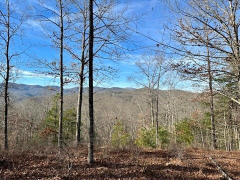 305 Raccoon Run 25