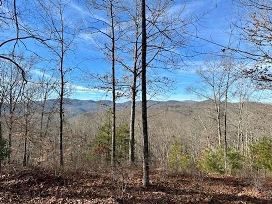 With an easy build site and vast mountain views, this beautiful lot will also enable you to witness the stunning sunsets! If you're looking to build your dream mountain home or vacation getaway, look no further. French Broad Crossing is a gated conservation community with easy access to Asheville and amenities galore! Enjoy the River Lodge, Fitness Center, Pool, River Park, Treehouse, and miles of walking/ATV trails! Relax and watch the sunset from your home or the River Lodge, gather with family and friends by the fire, or just absorb nature on the trails. This is THE place to check out of the daily hustle and bustle and take a deep breath! Fiber Optic cable has also been wired throughout the community. If more land/privacy is desired, neighboring lot 24 is also on the market! See MLS# 4228765. FBC has a designated medical helicopter landing zone.