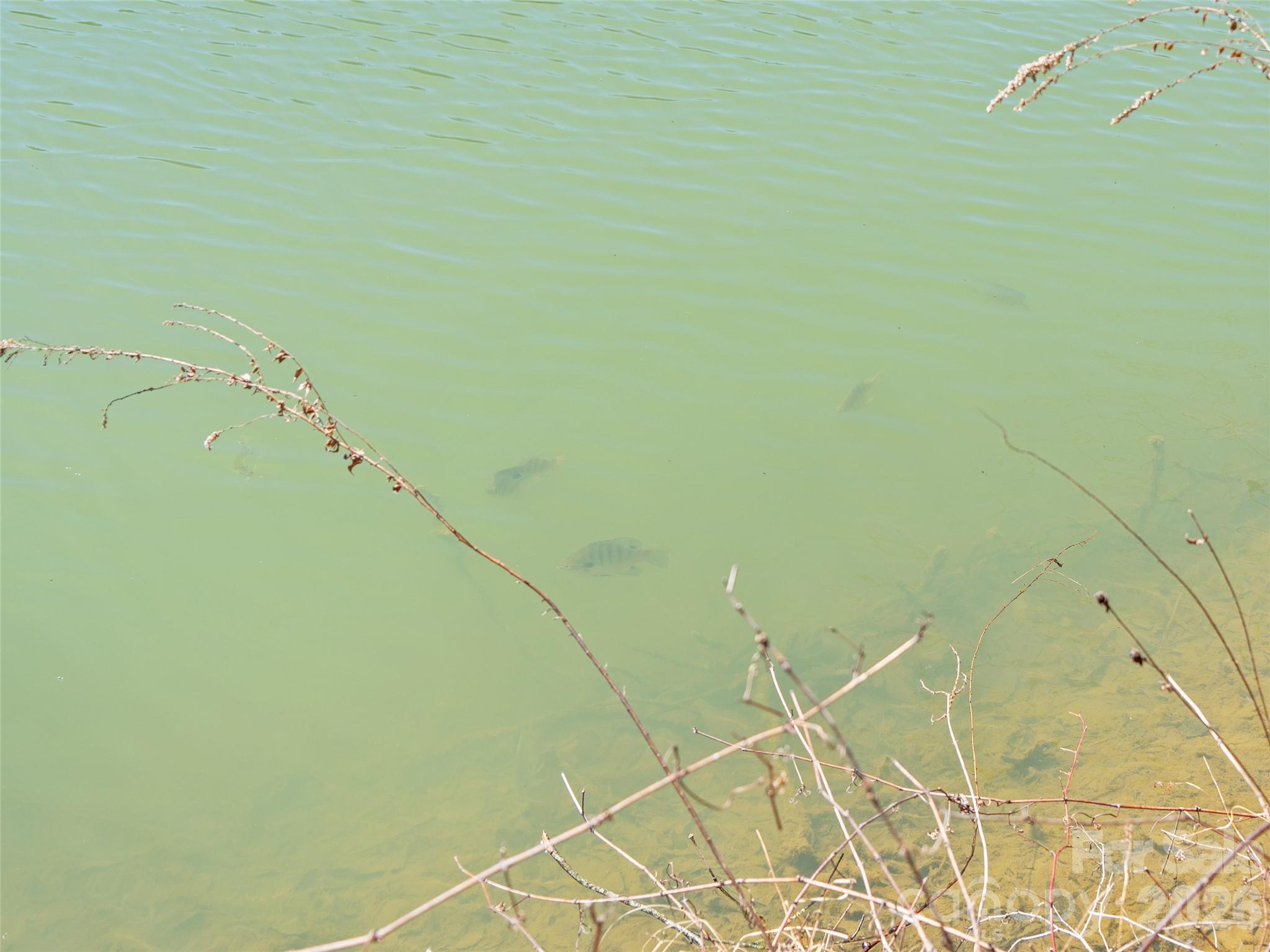 Carriage Park - Land