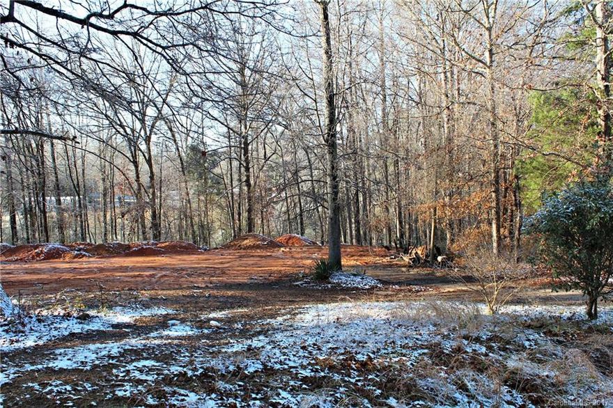 Decent sized lot in booming Indian Land area, close to places of worship, schools, shopping, and entertainment. Suitable for single family residence, modular, or mobile home, no restrictions. The well and septic tank left from previous house might be used after inspection.
