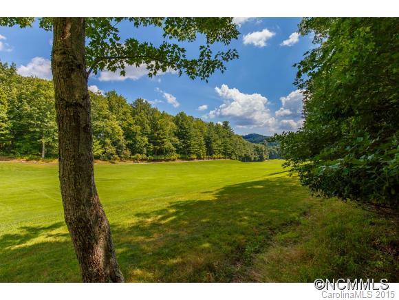 Connestee Falls - Residential