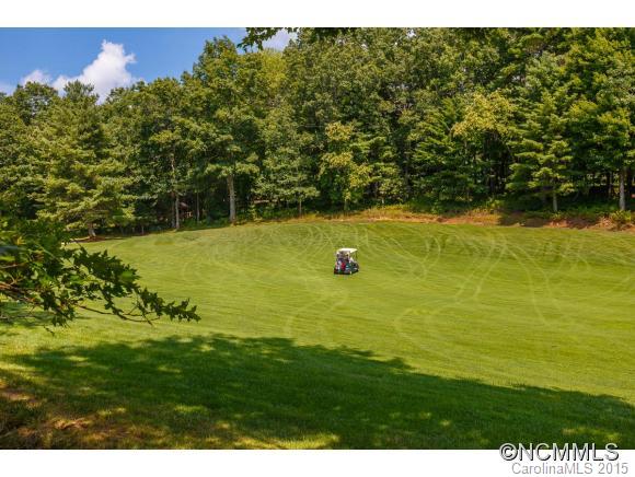 Connestee Falls - Residential