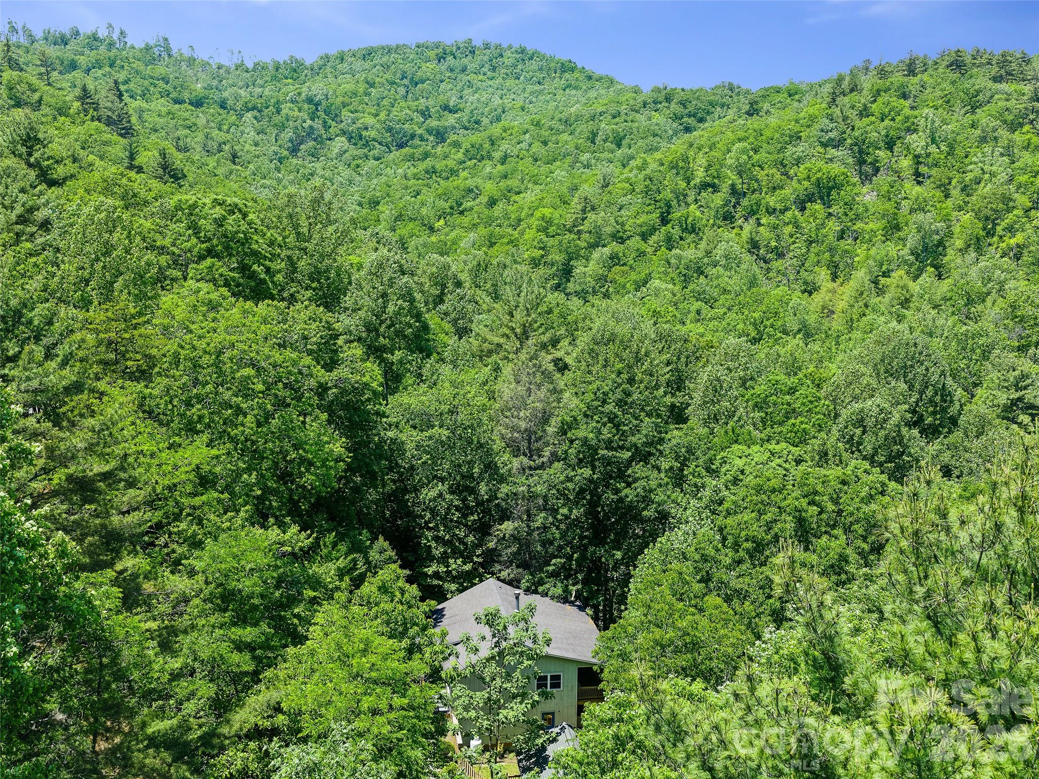 Swiss Pine Lake - Residential