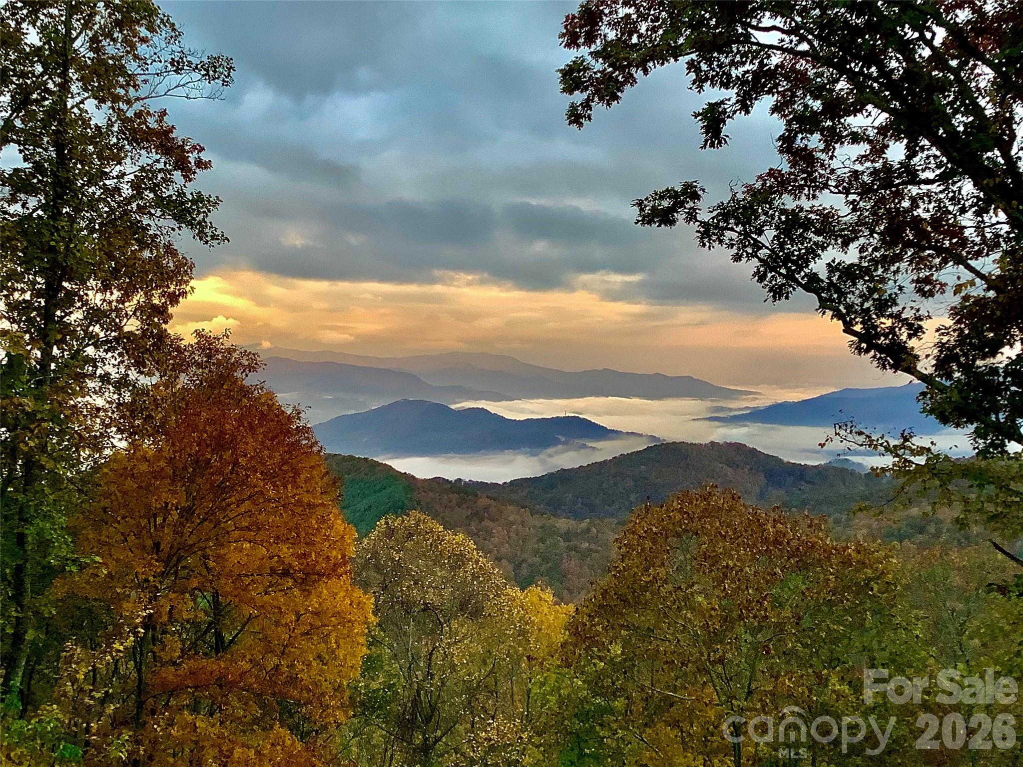 Cane Creek Ridge - Residential