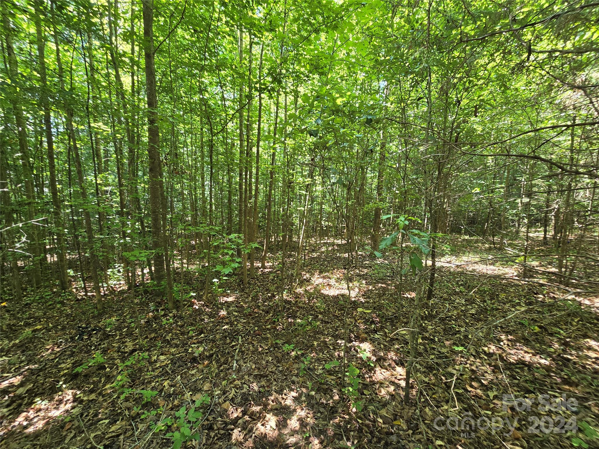 Amity Estates - Land