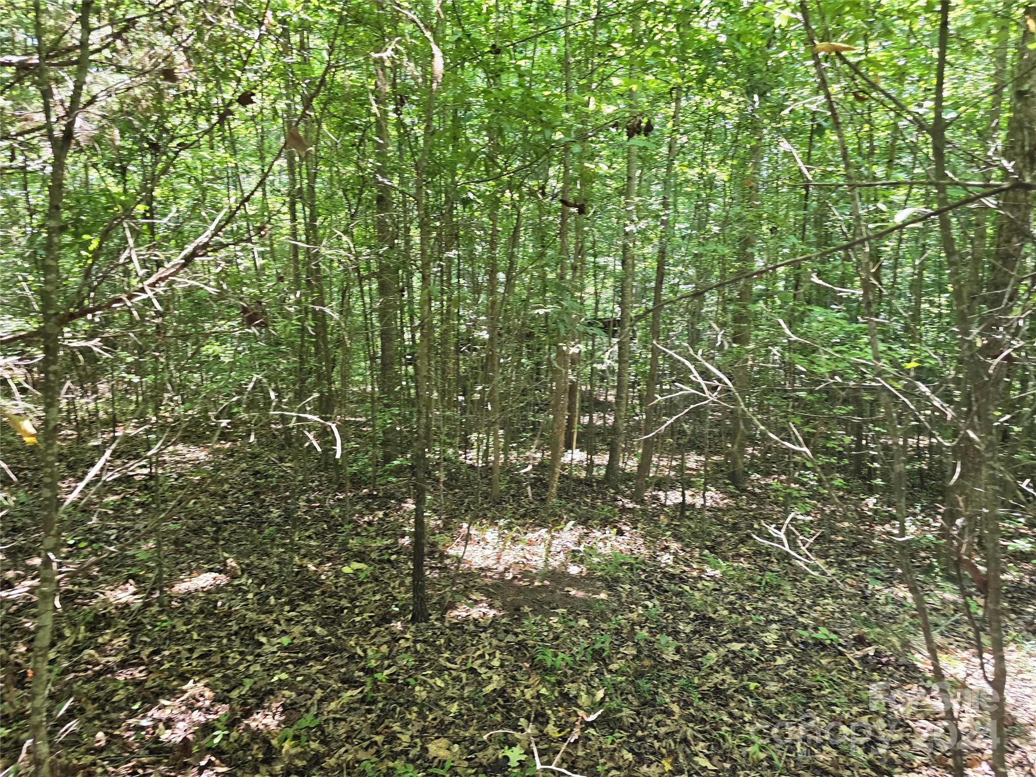 Amity Estates - Land