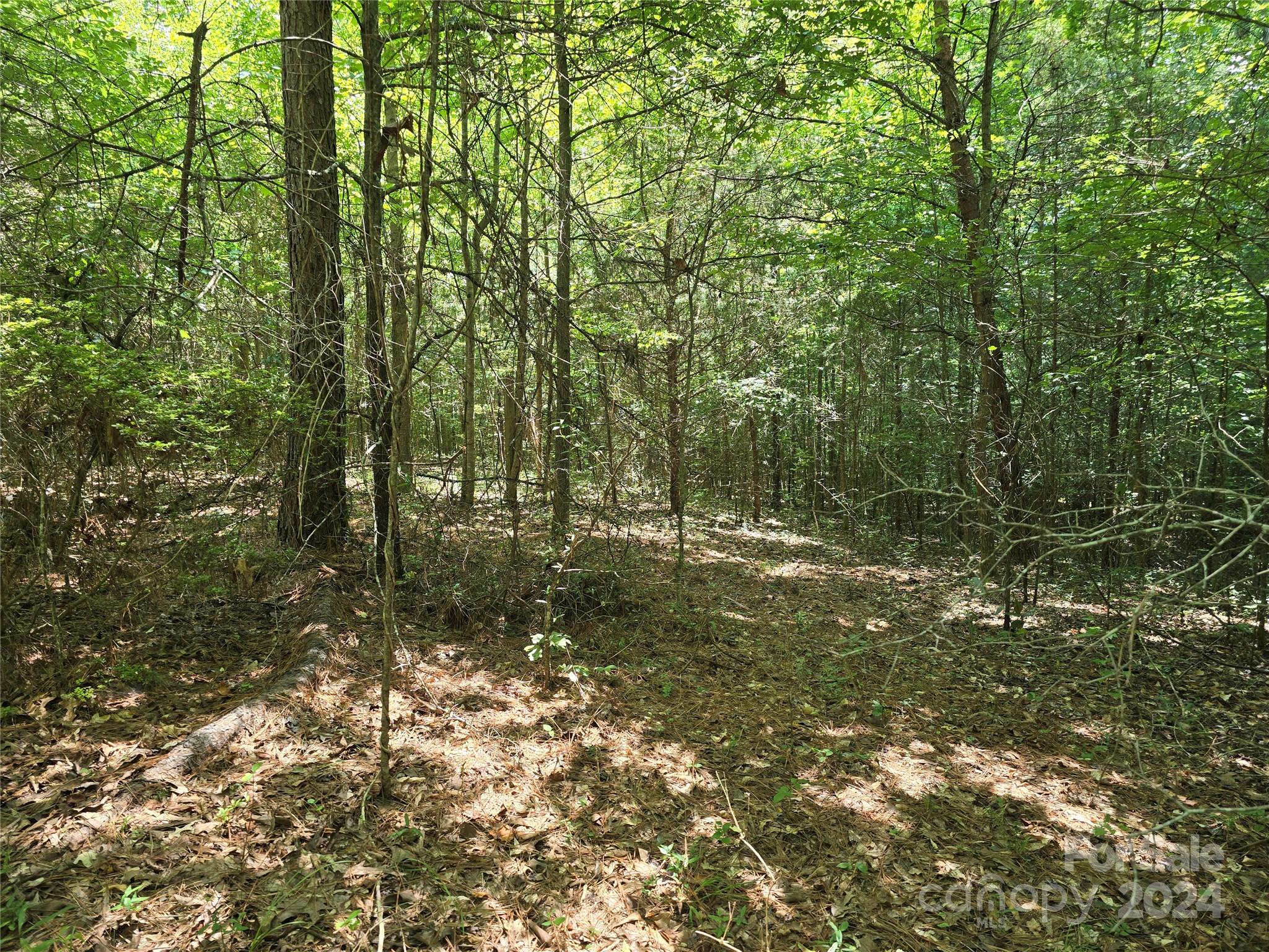 Amity Estates - Land