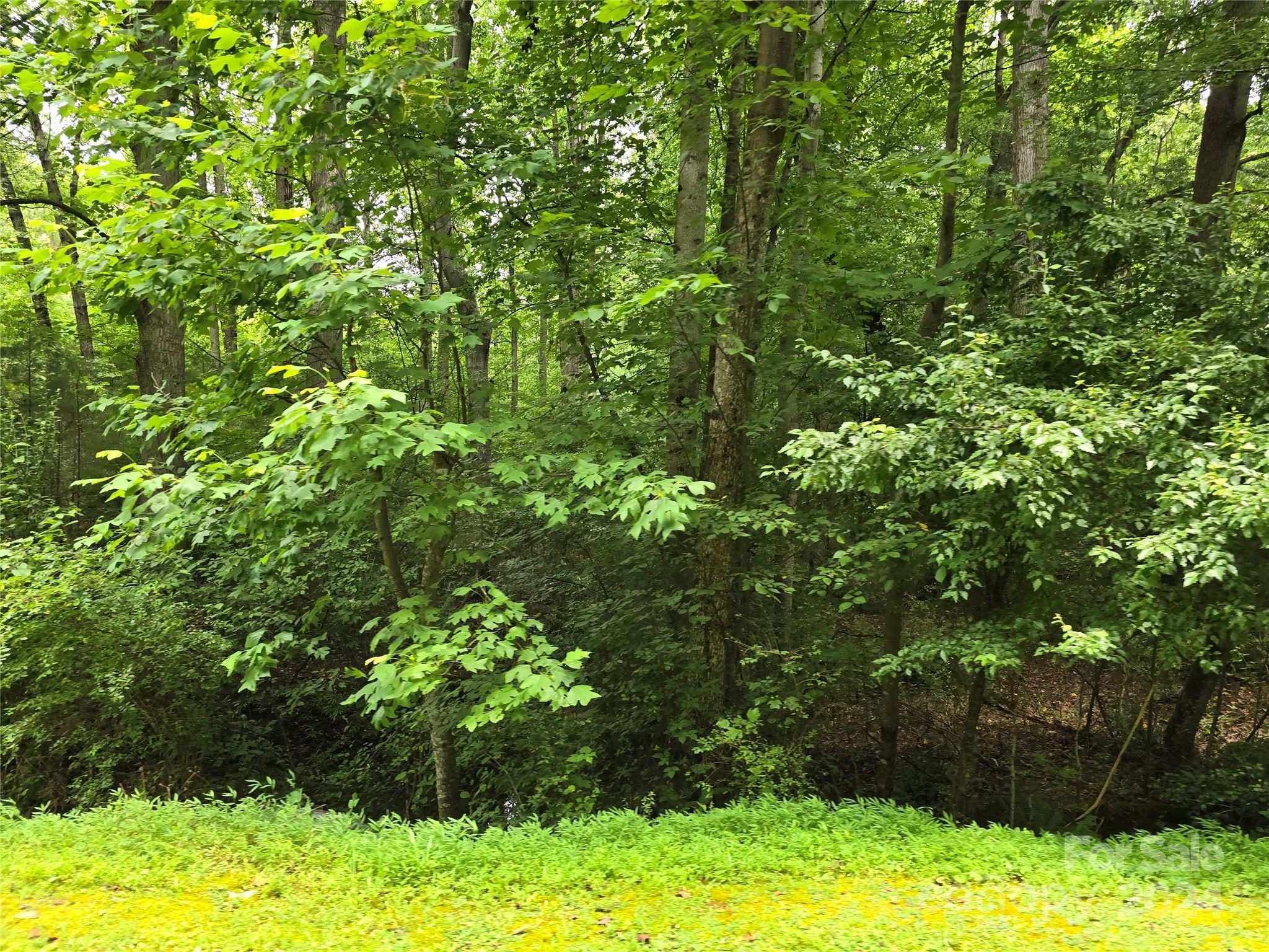 Amity Estates - Land