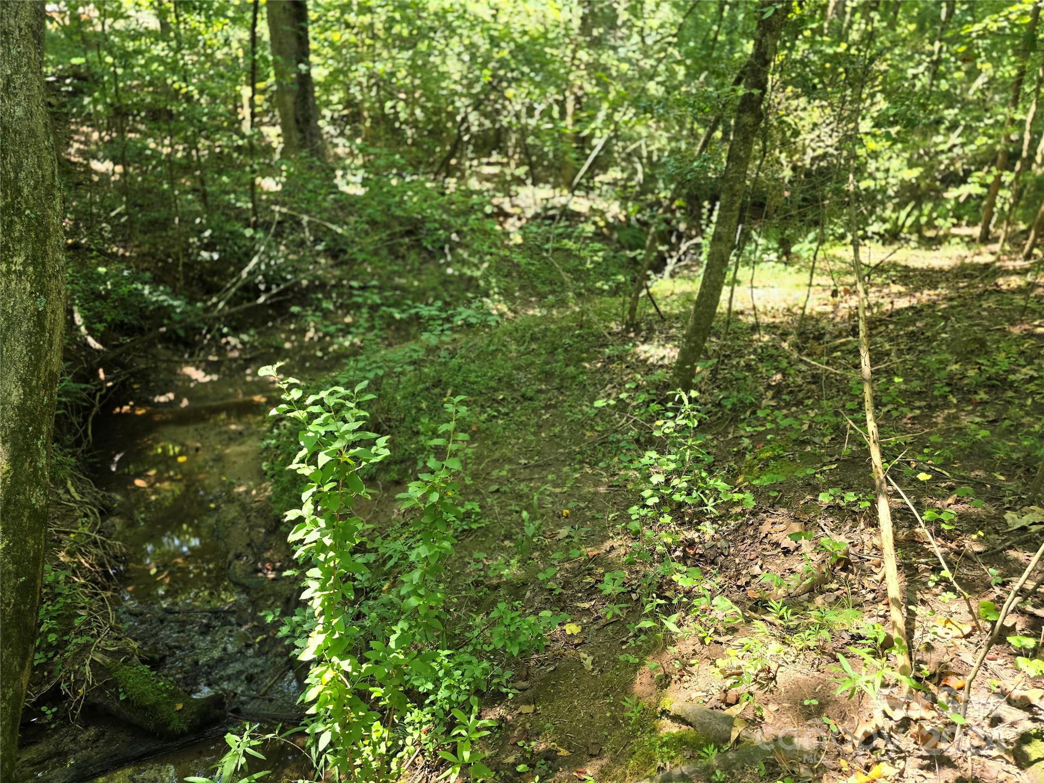 Amity Estates - Land