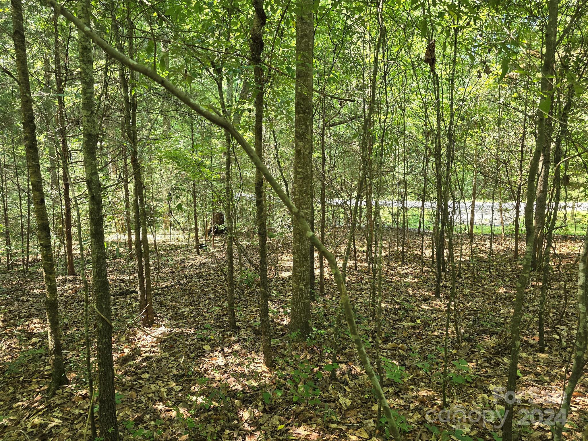 Amity Estates - Land