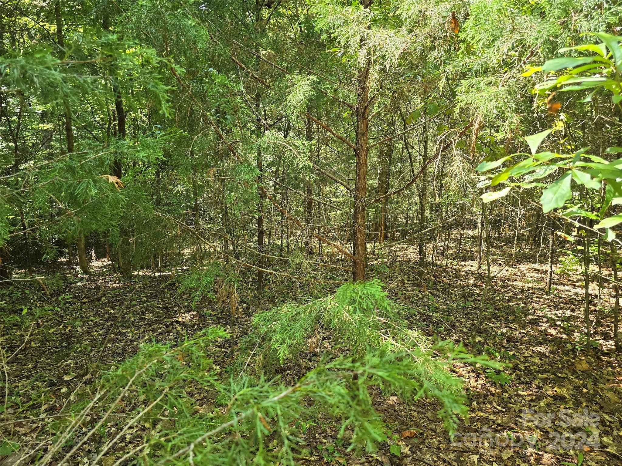 Amity Estates - Land