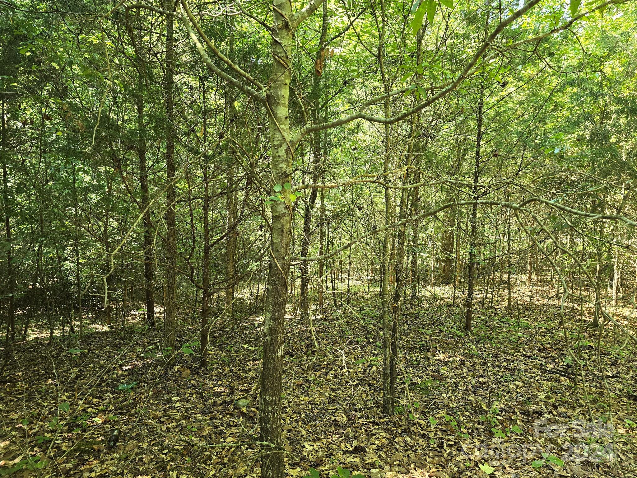 Amity Estates - Land