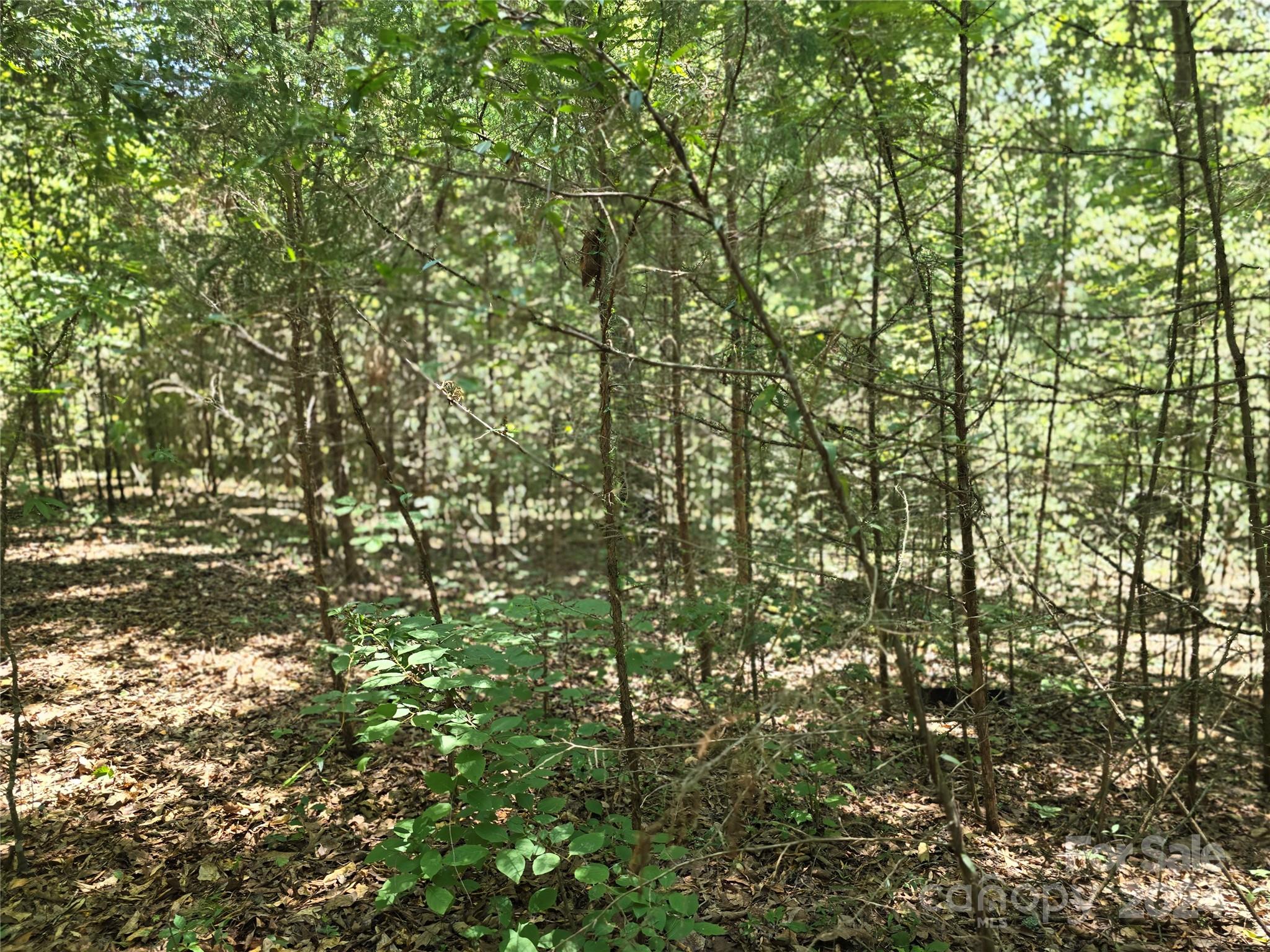 Amity Estates - Land