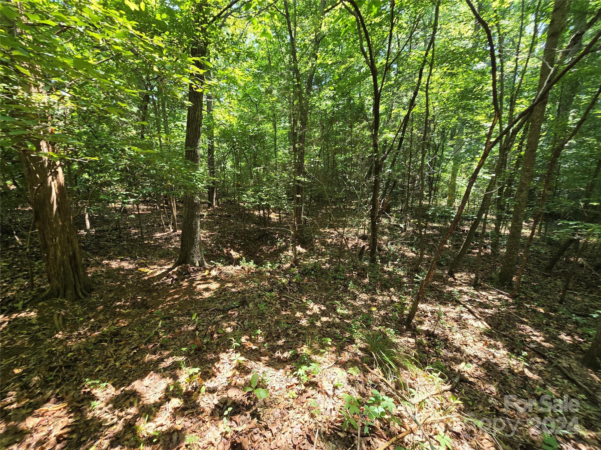 Amity Estates - Land