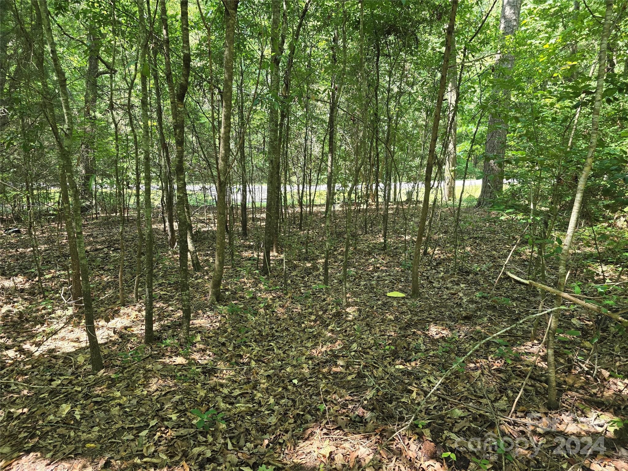 Amity Estates - Land