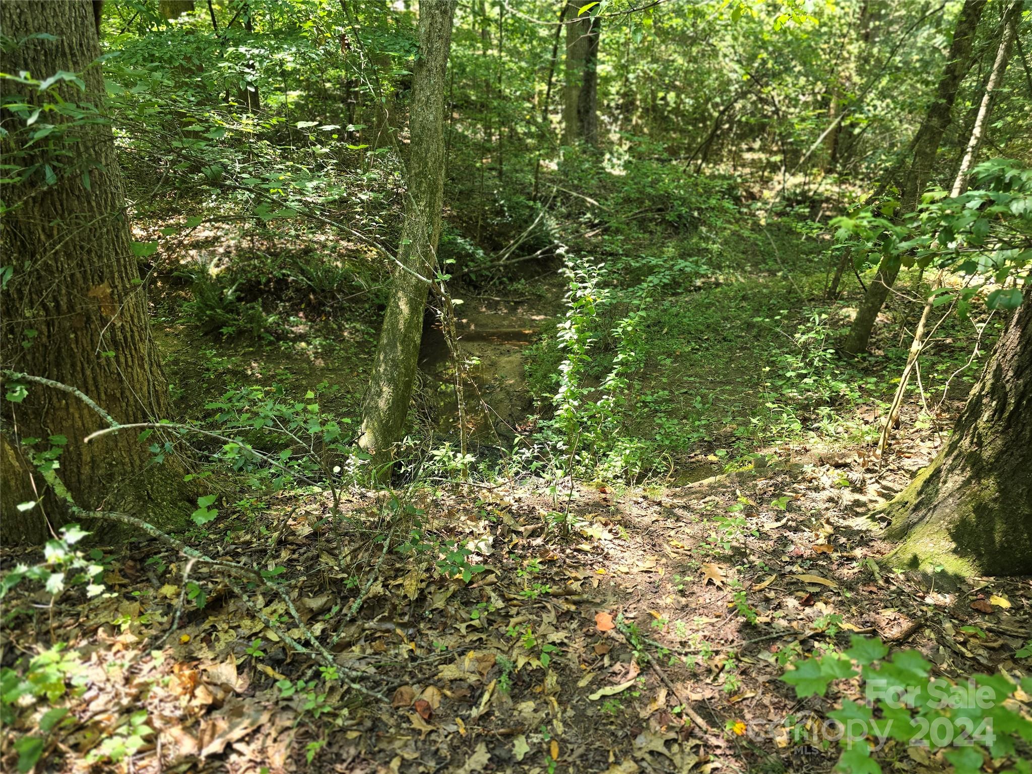 Amity Estates - Land