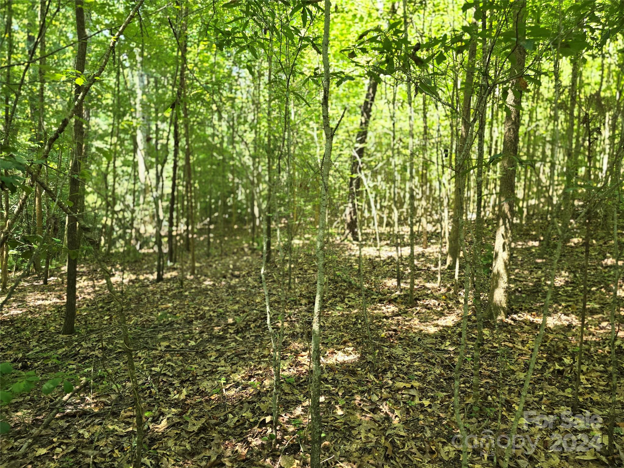 Amity Estates - Land